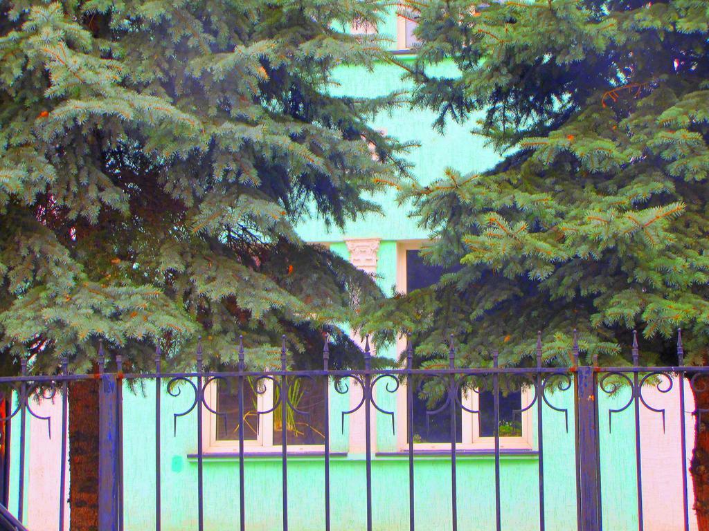Guest House On Kaldaiakova 38 Almaty Ngoại thất bức ảnh